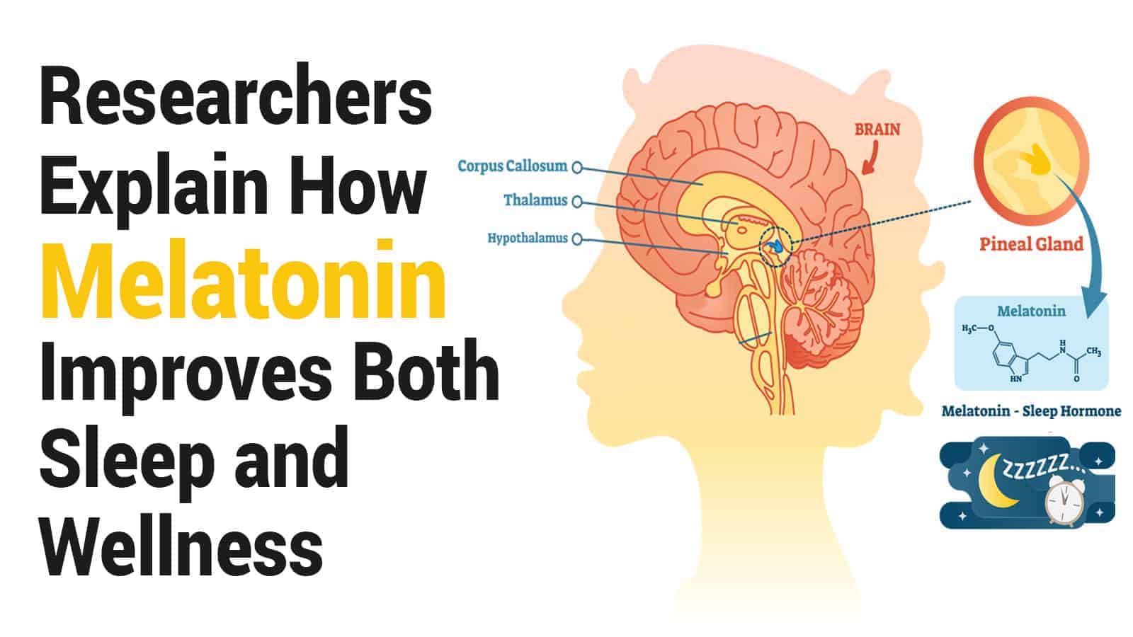 Researchers Explain How Melatonin Improves Both Sleep and Wellness