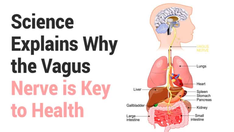 vagus nerve pain