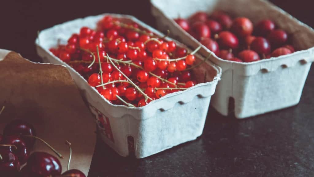 10 Benefits of Adding Fresh Cranberry to Your Diet
