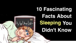 facts about melatonin and sleep