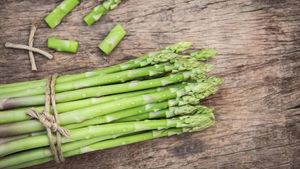 18 Foods That Contain Highly Effective Prebiotics