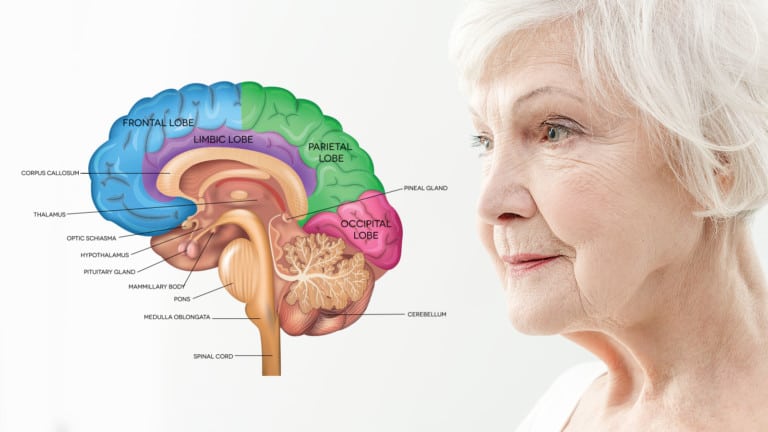 brains