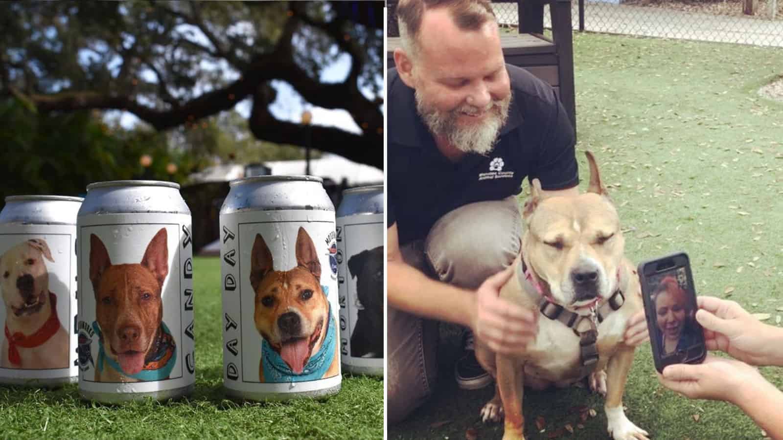 Woman Reunites With Missing Dog After Seeing Picture On Beer Can