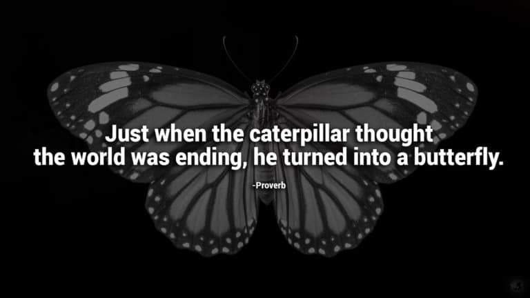 quotes