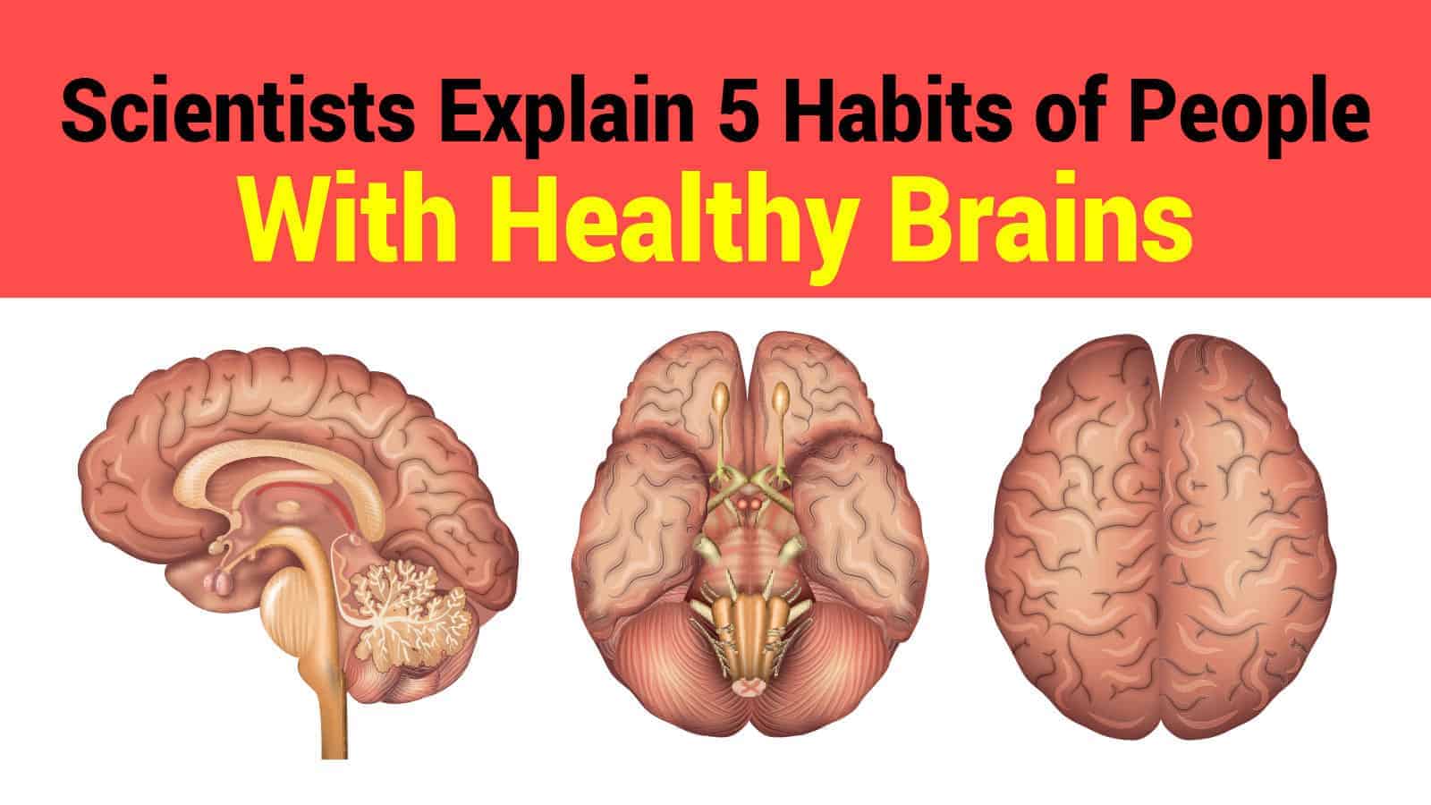 Scientists Explain 5 Habits of People With Healthy Brains