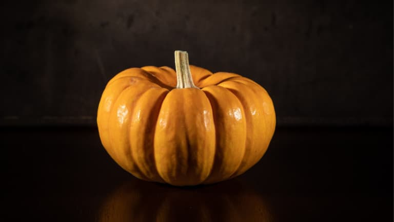pumpkin
