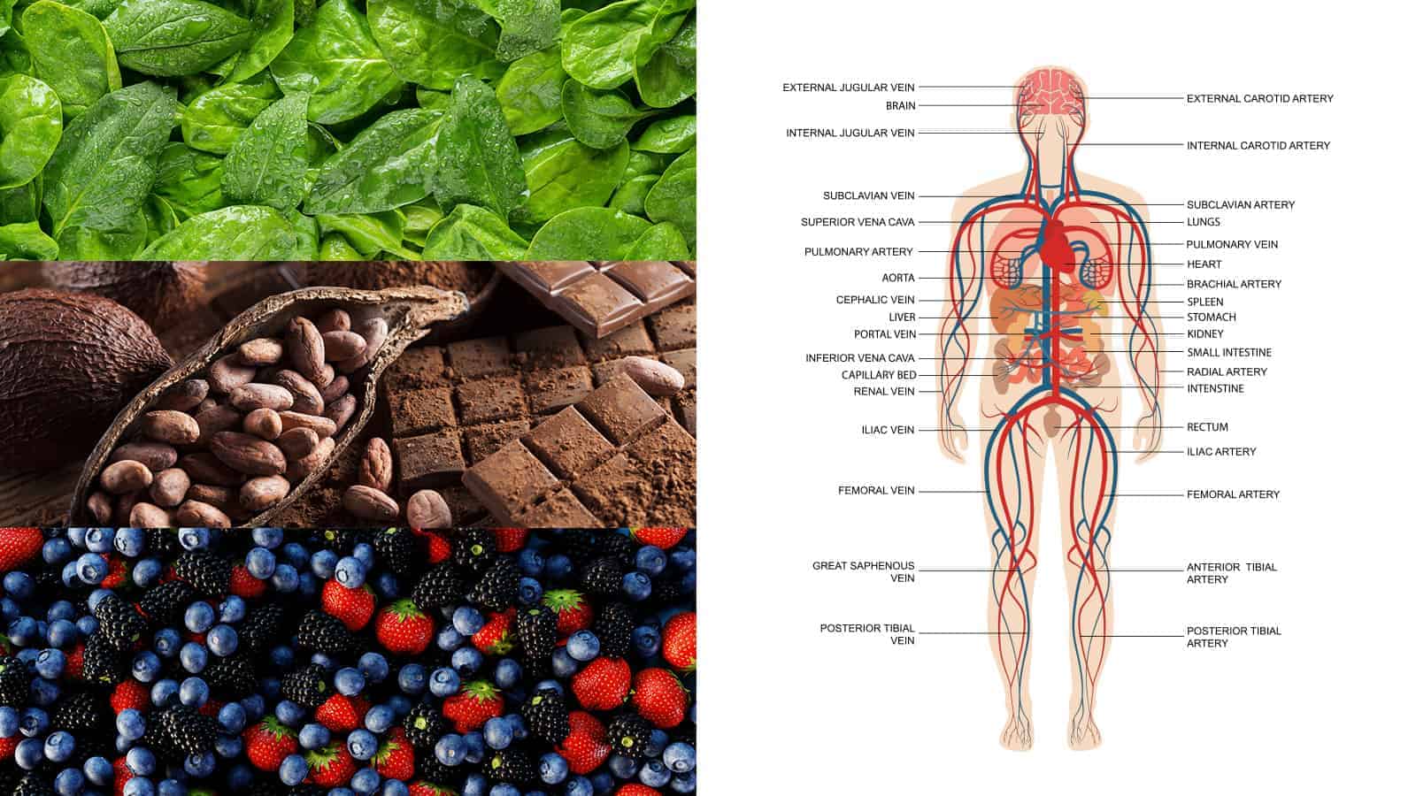 Dietitian Reveals the 15 Best Foods to Support Your Circulatory System