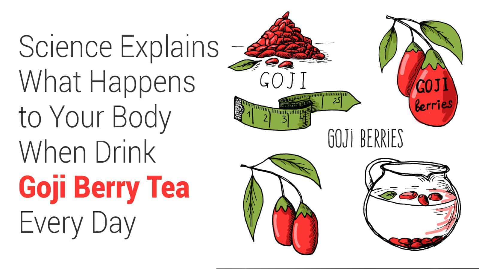 Science Explains What Happens to Your Body When You Drink Goji Berry Tea Every Day
