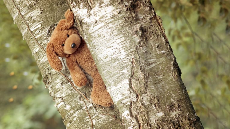 teddy bear