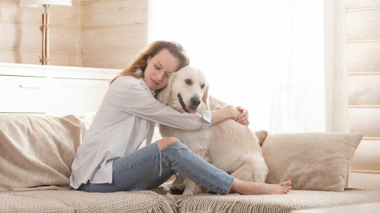 emotional support animals