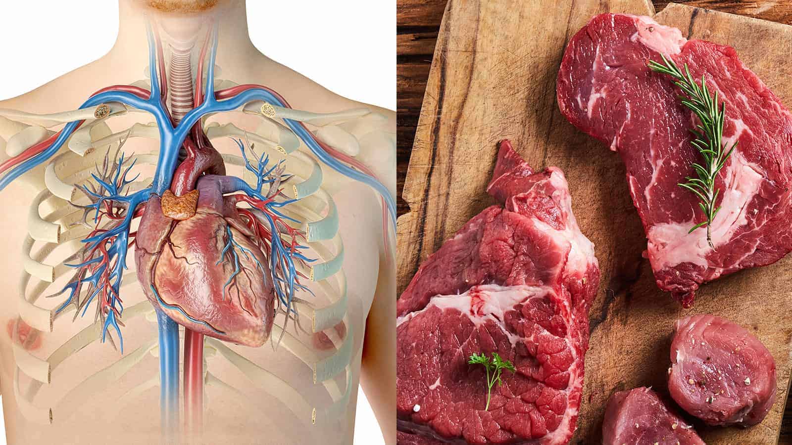 Science Explains What Happens to Your Body When You Stop Eating Red Meat