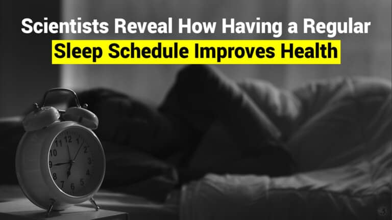 sleep schedule