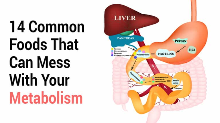 metabolism