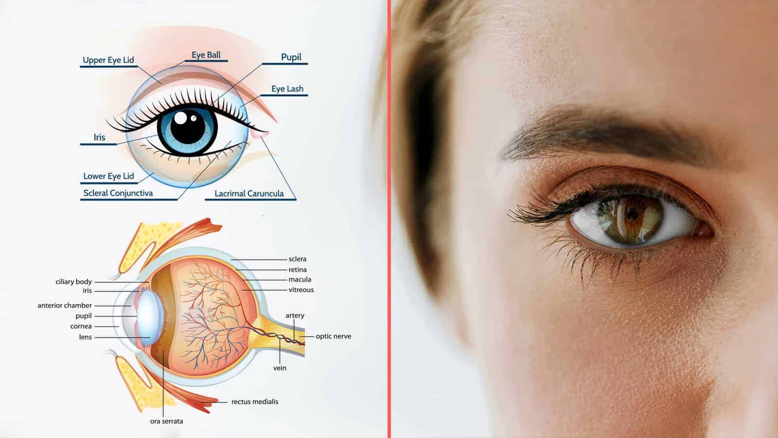 Doctors Explain That Poor Vision Reveals These 9 Health Issues