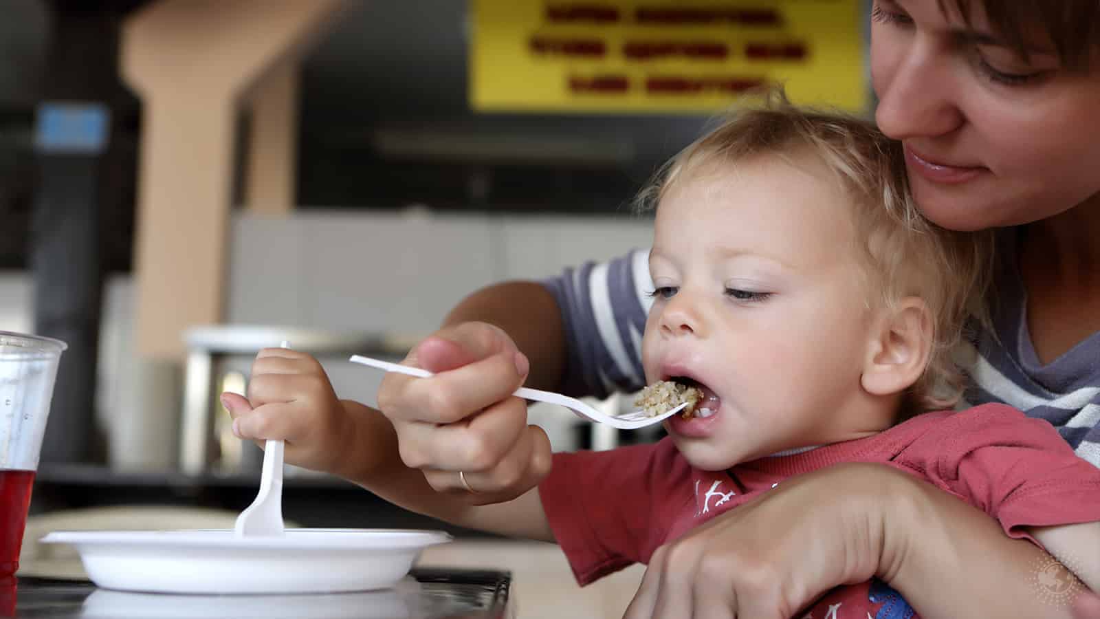 Reports Explain the Reality of Food Insecurity in America Today