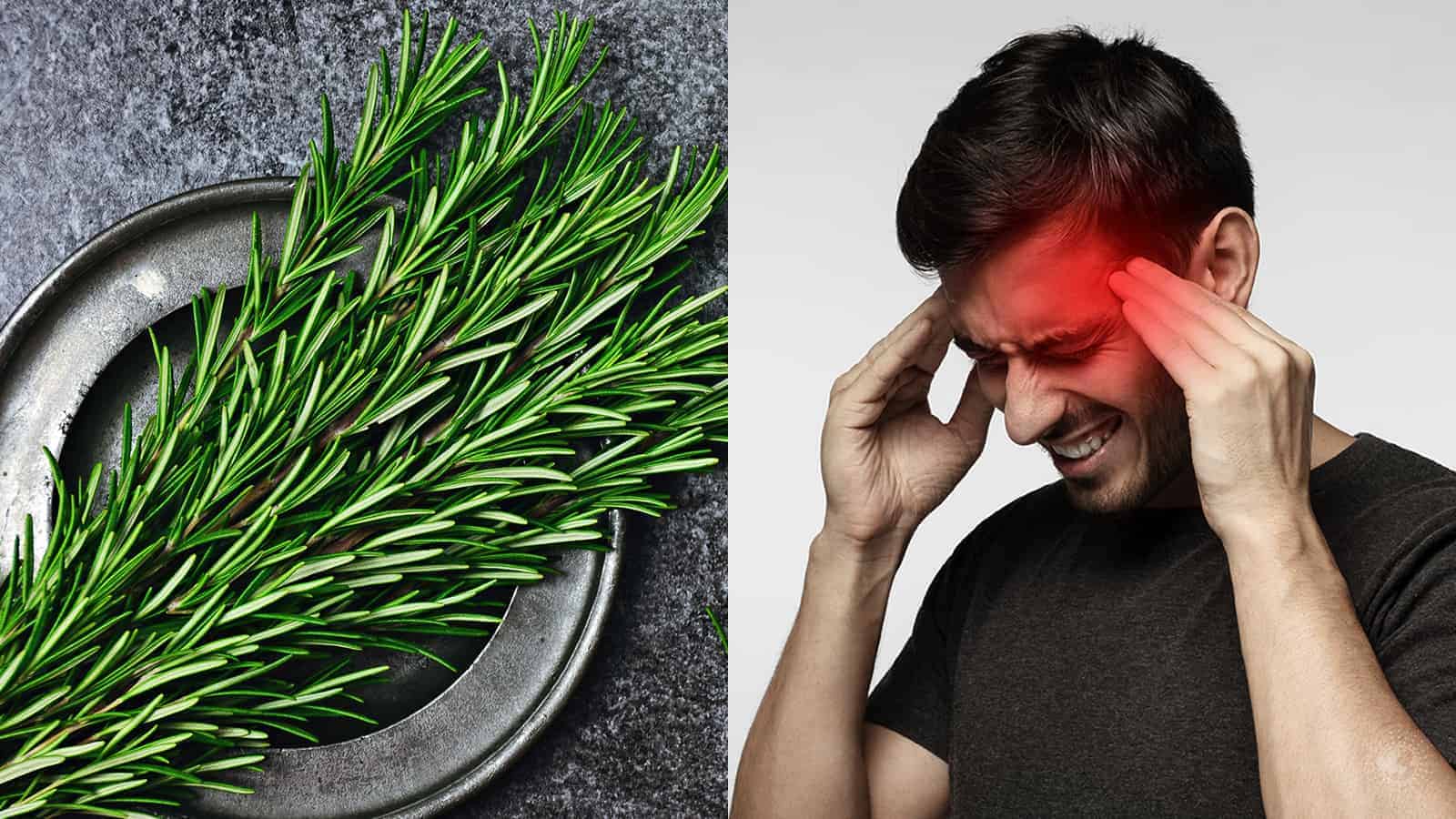 How Rosemary Can Help Relieve Tension and Headaches