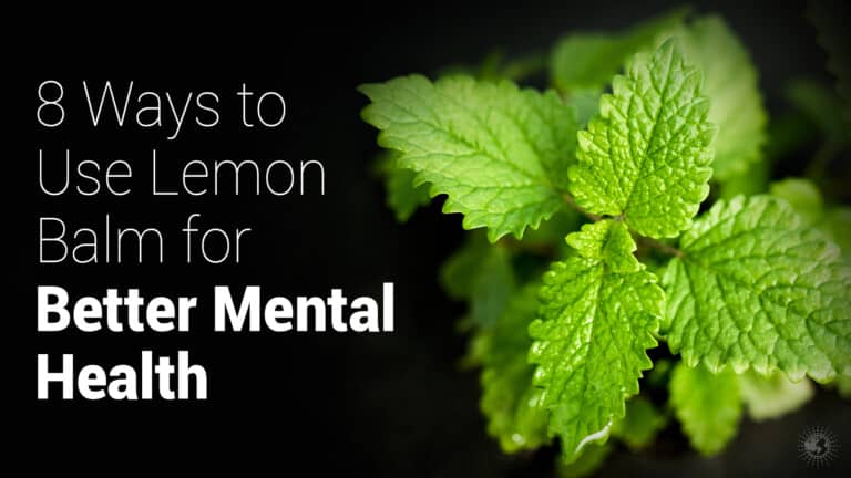 lemon balm