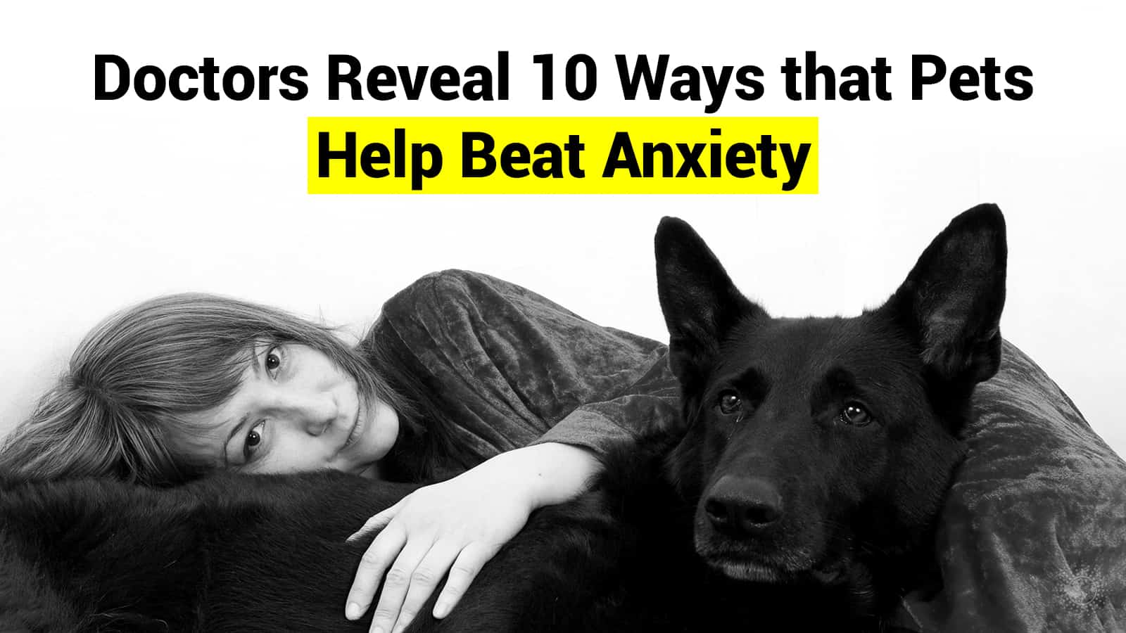 Doctors Reveal 10 Ways that Pets Help Beat Anxiety