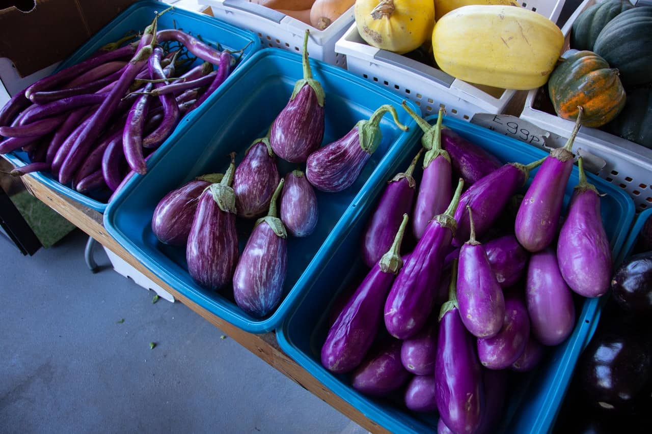 eggplant