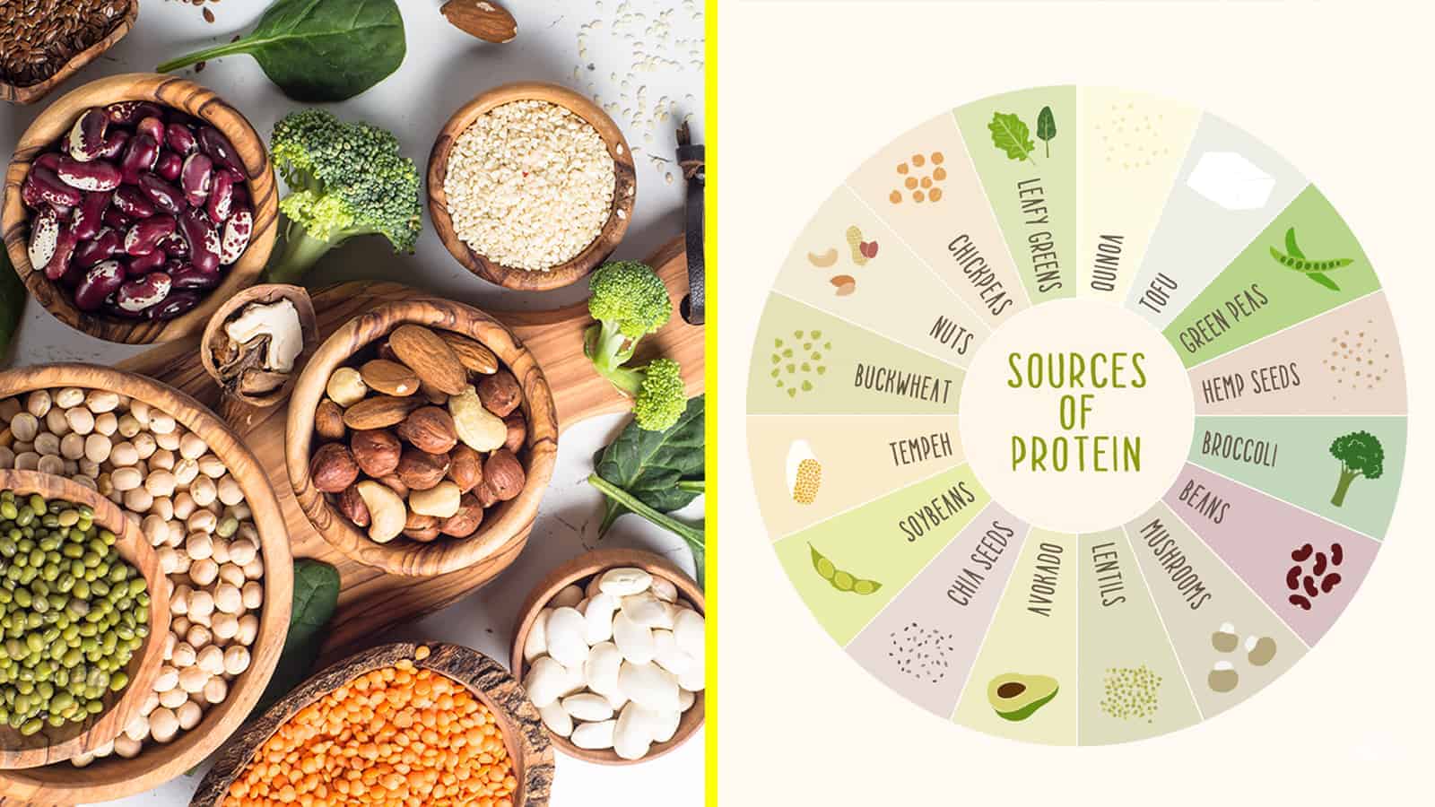 15 Plant-Based Protein Sources Never to Ignore