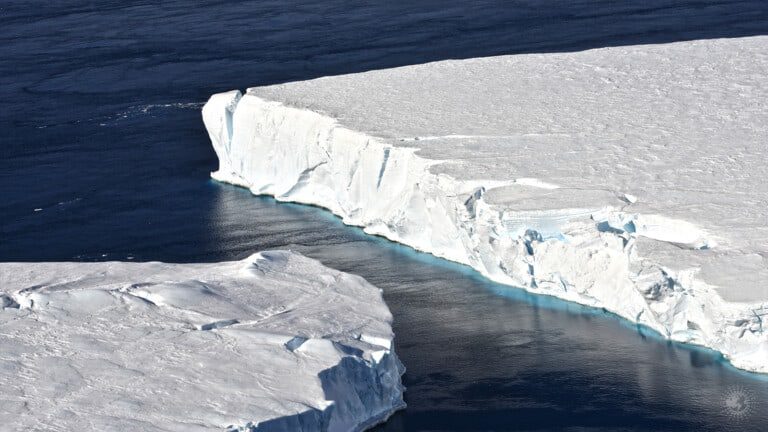 global warming