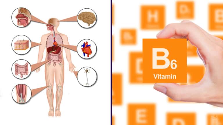 Vitamin B6