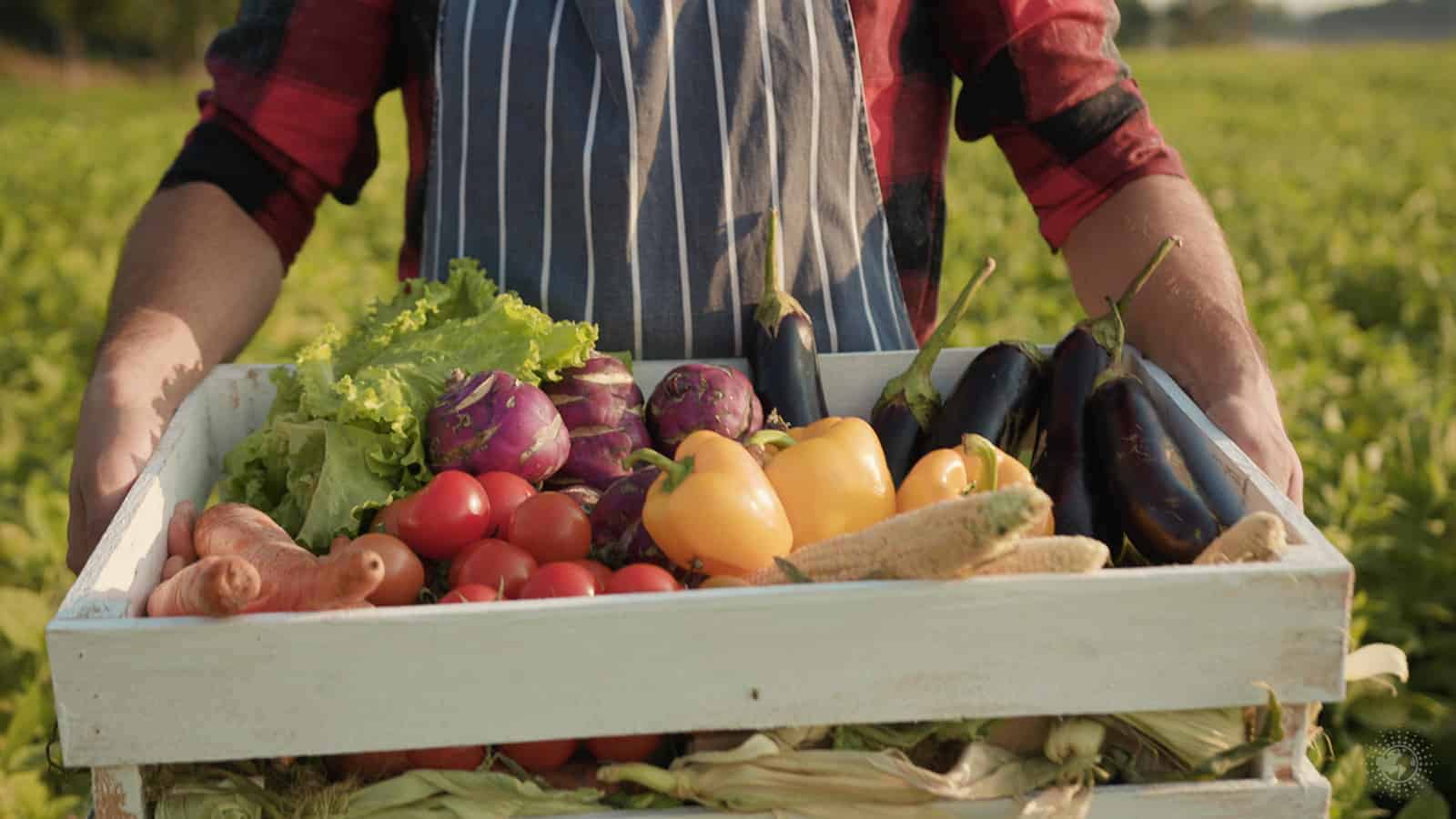 Researchers Explain 5 Benefits of Choosing Organic Produce