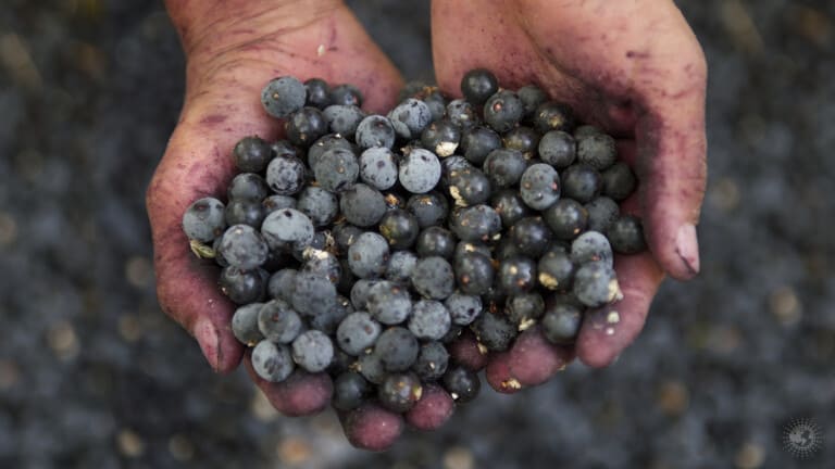 acai berries