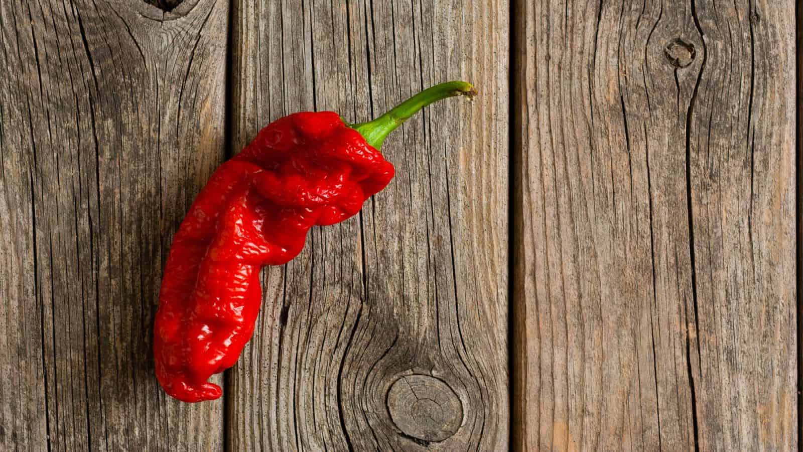 Dietitians Explain 9 Health Benefits of Eating Ghost Peppers