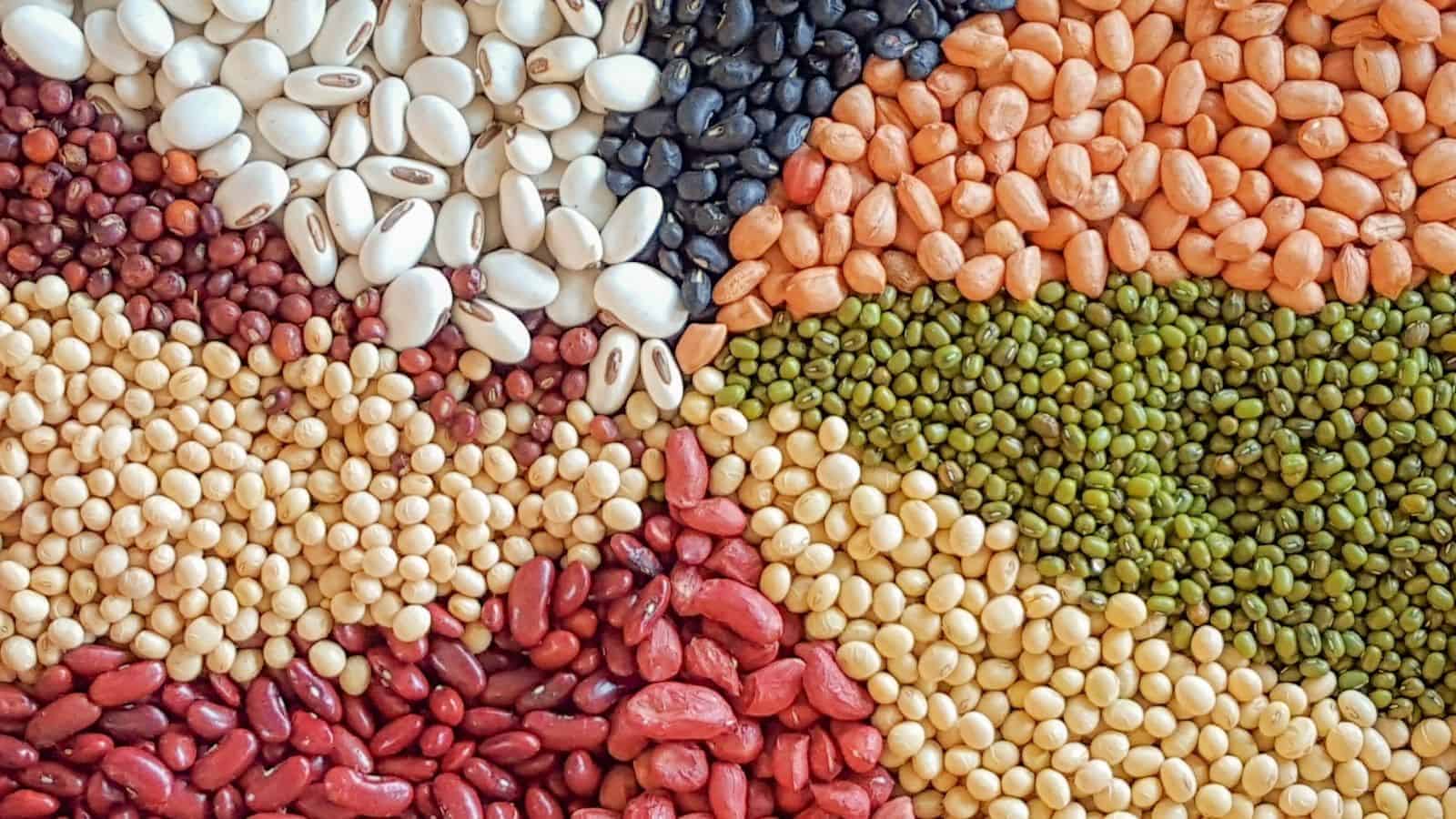 12 Legumes That Help You Lose Weight Without Being Hungry