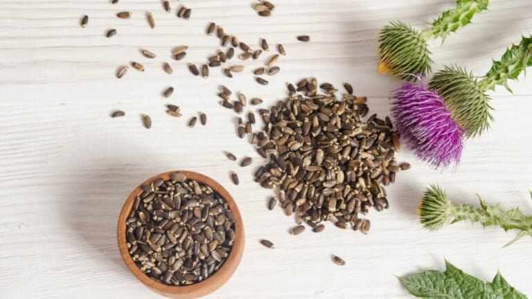 milk thistle