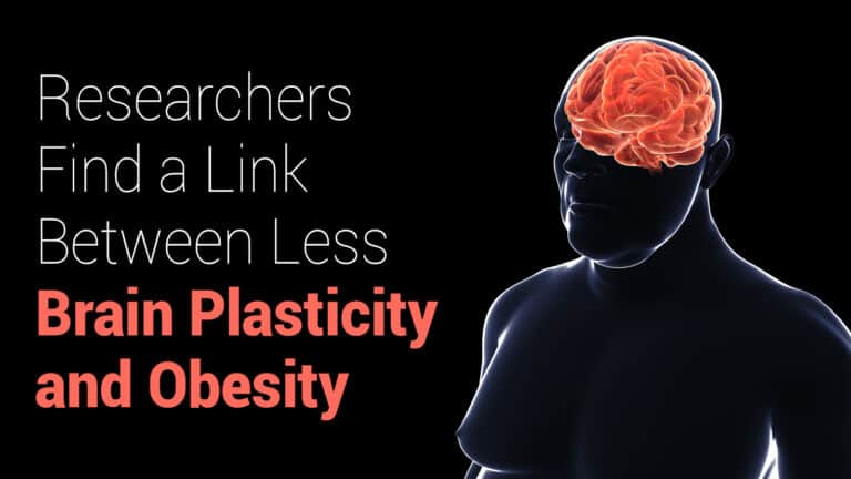 brain plasticity