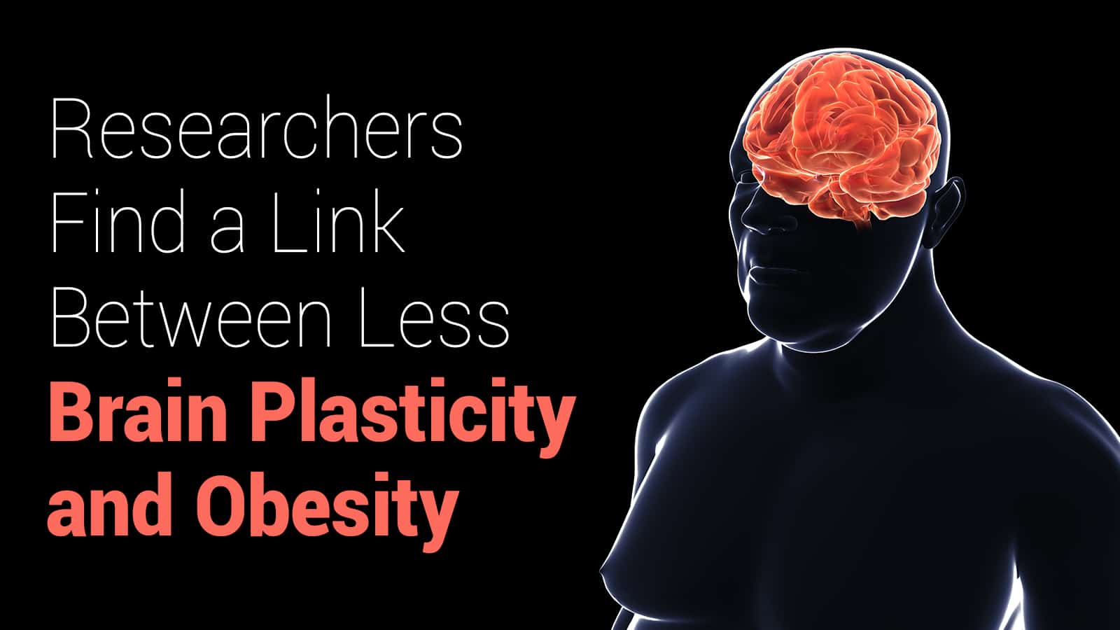 Researchers Find a Link Between Less Brain Plasticity and Obesity