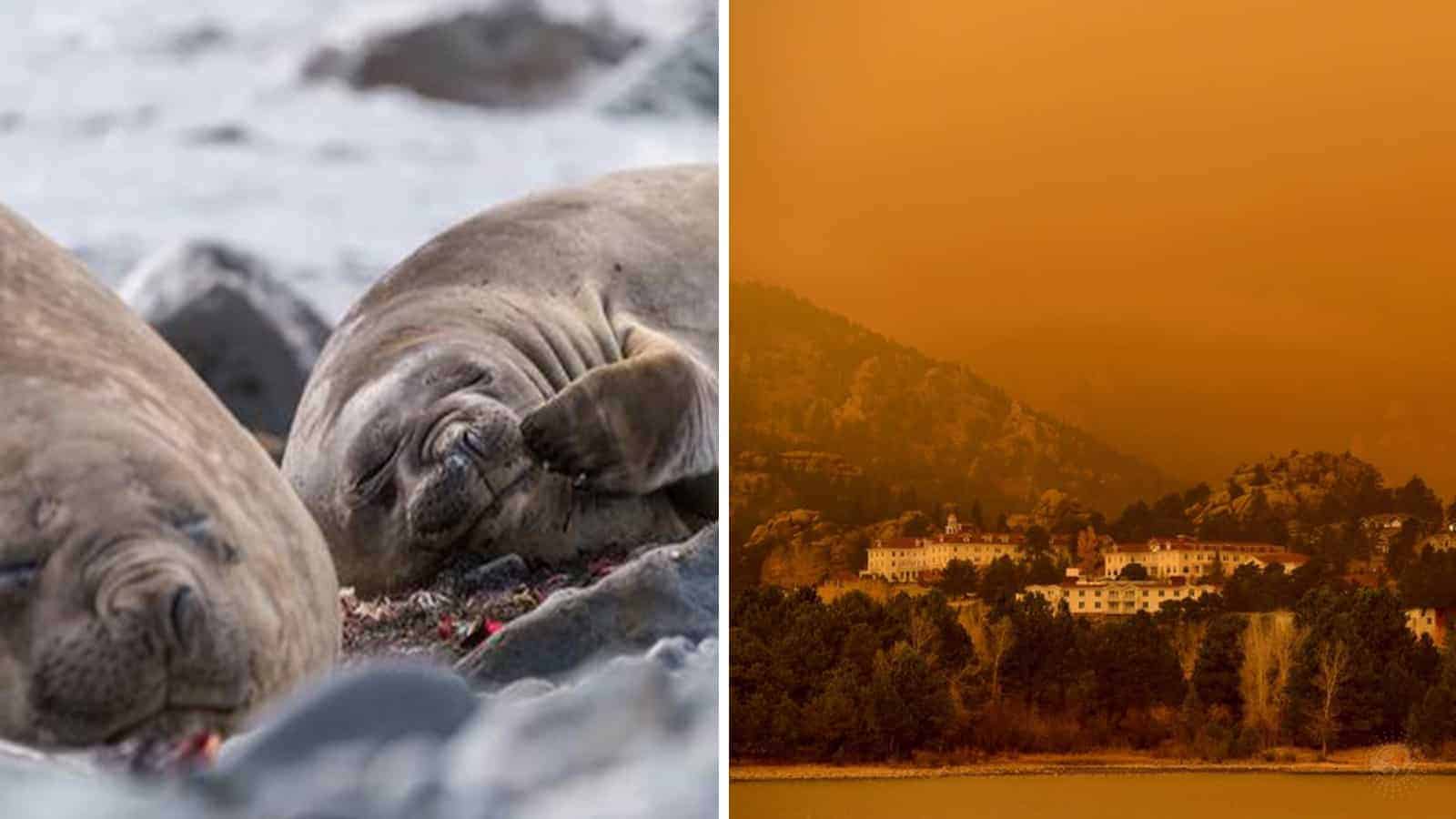 20 Photos That Perfectly Capture the Seriousness of Climate Change