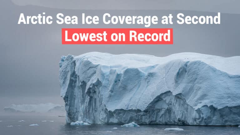 arctic sea ice