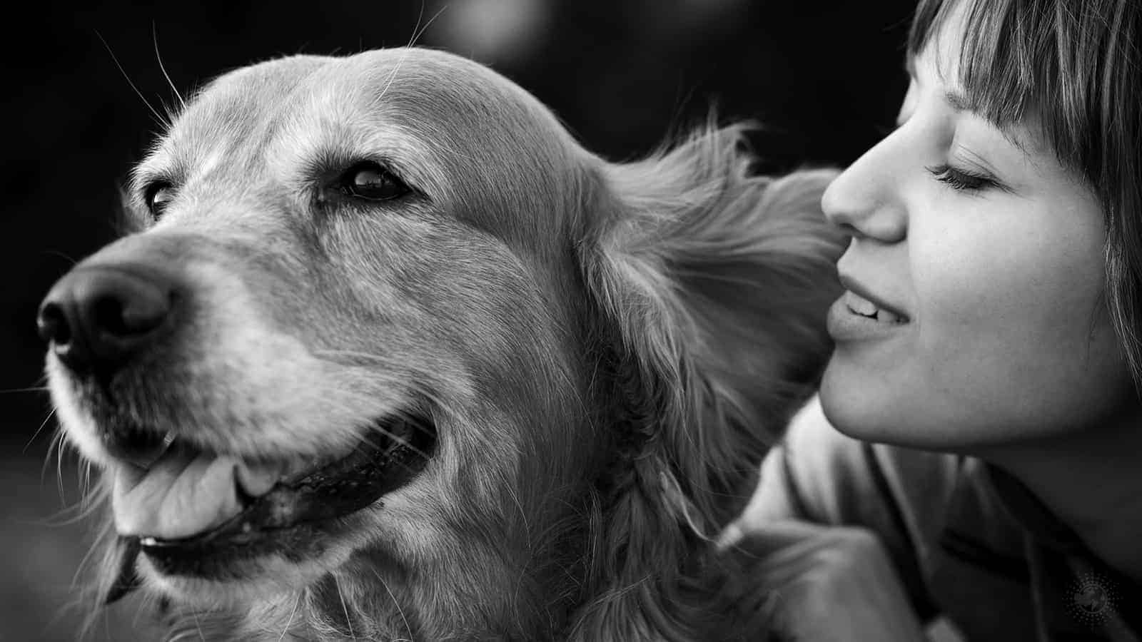 Dogs Heart Rates Jump When You Say I Love You, Backed by Science