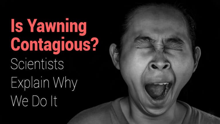 yawning