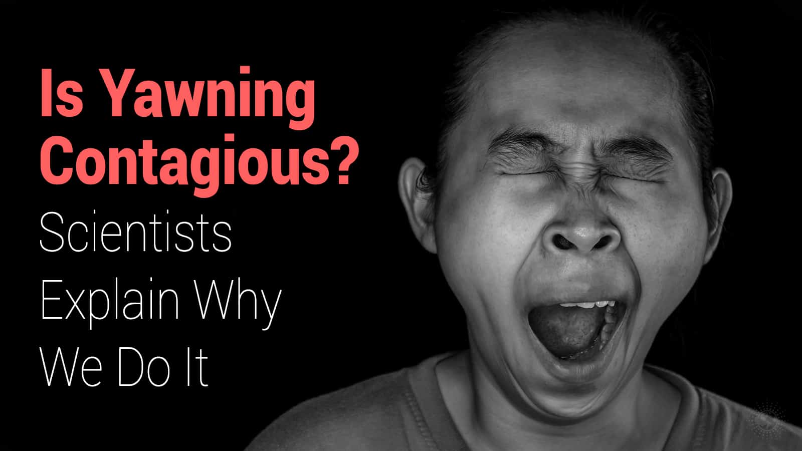 Is Yawning Contagious? Scientists Explain Why We Do It