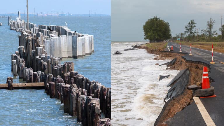 sea levels
