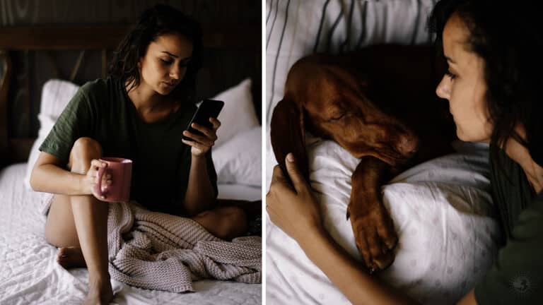 pet owners