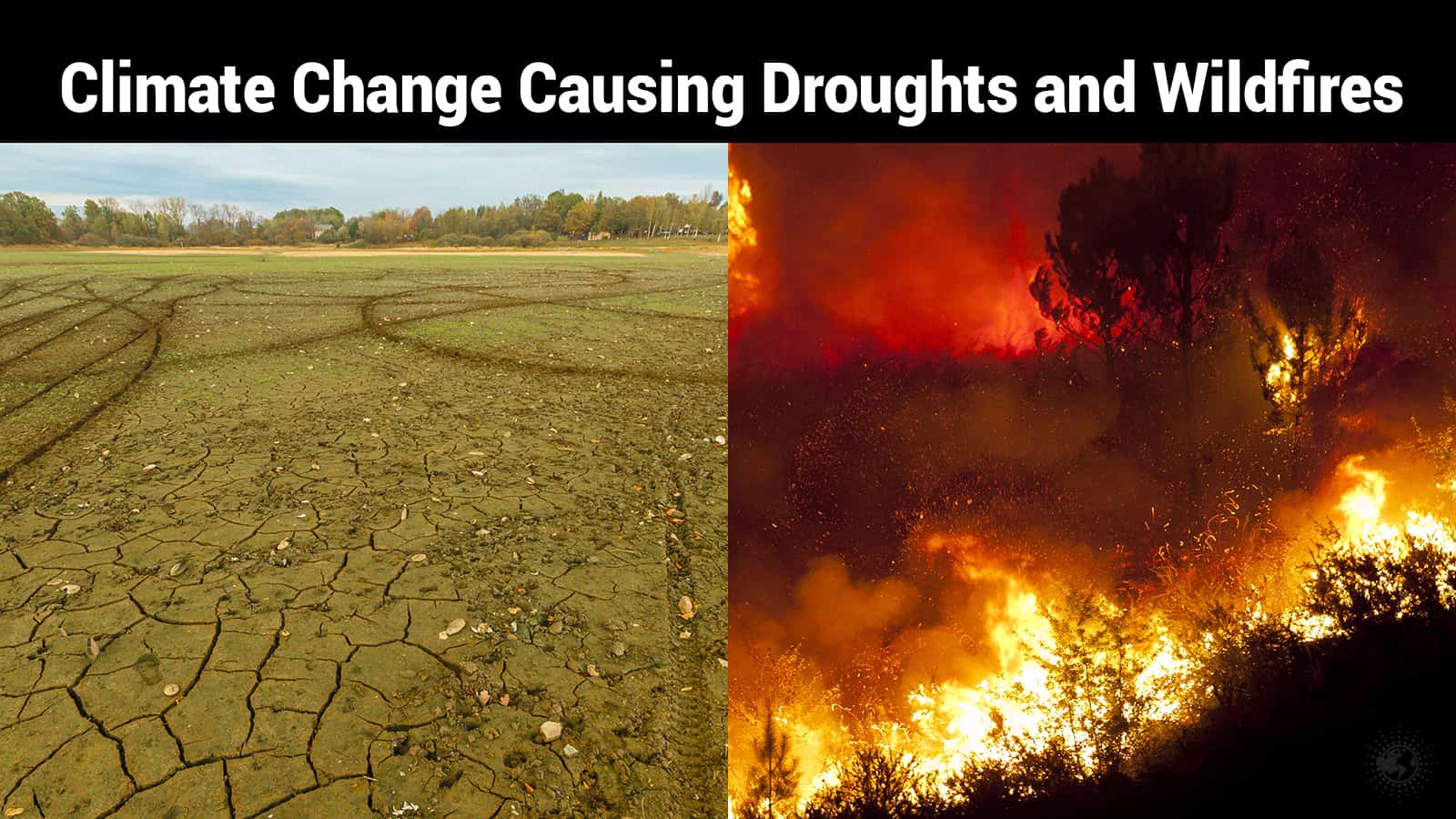 Researchers Confirm: Climate Change Causing Droughts and Wildfires