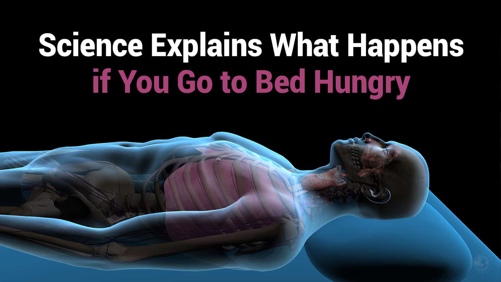 Science Explains What Happens if You Go to Bed Hungry