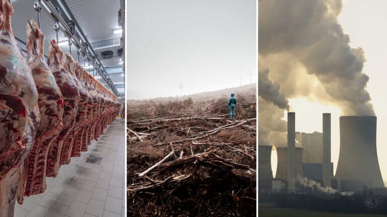 war on nature