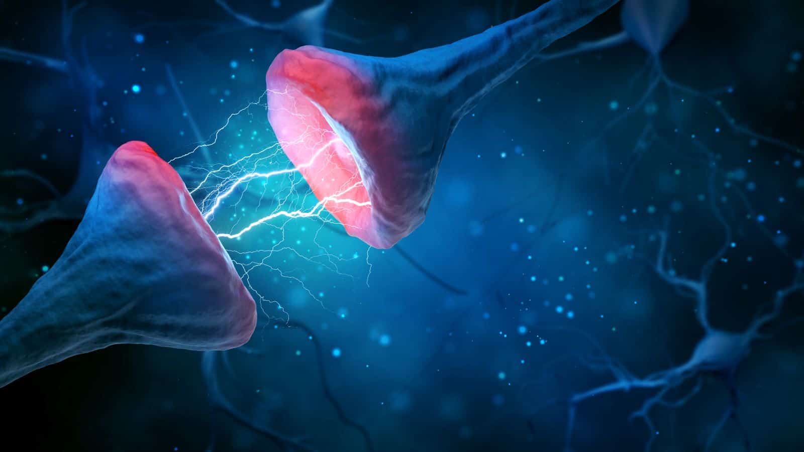 Research Finds That Memory Results from Combining Two Different Neurons