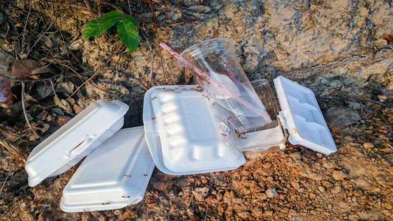 styrofoam
