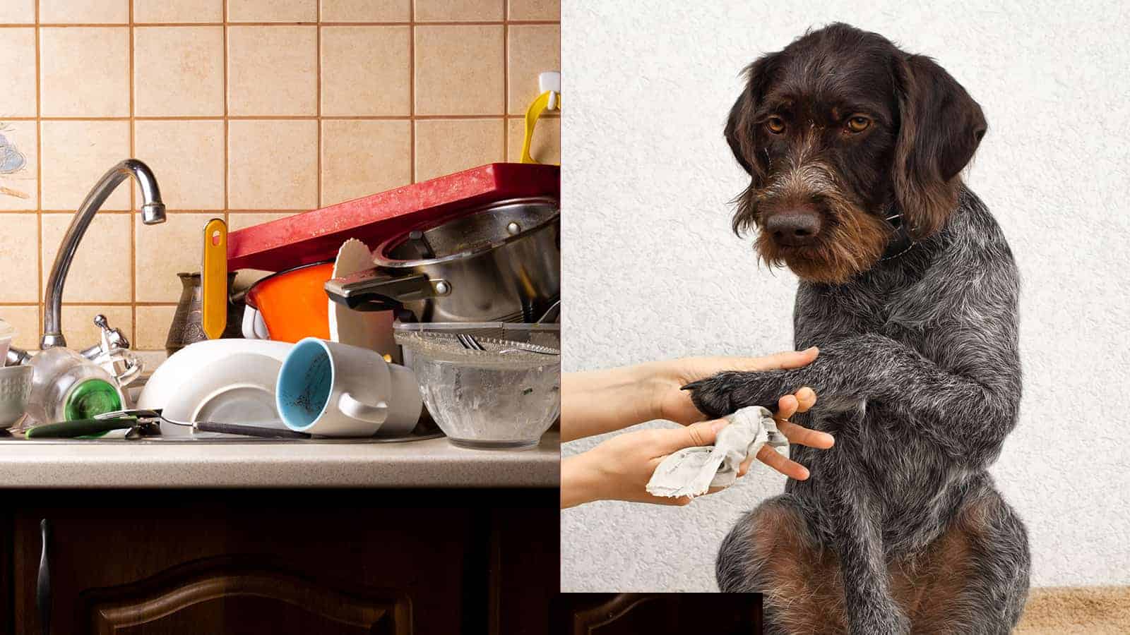 25 Ways to Keep Bad Smells Out of Your Home