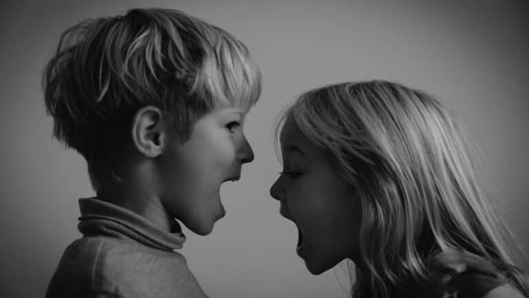 sibling rivalry