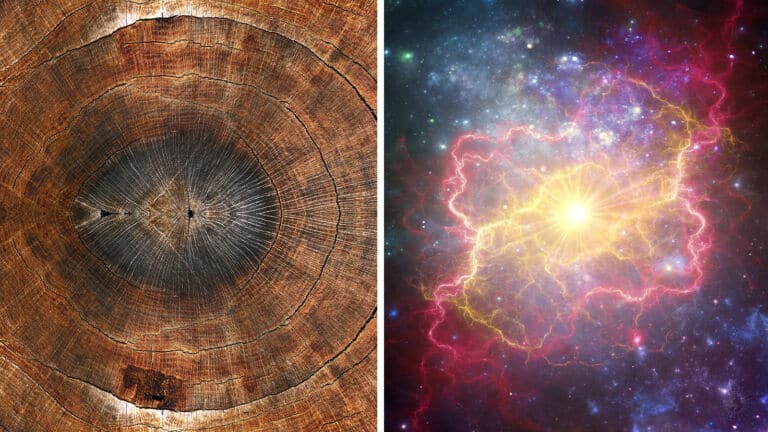 supernova activity