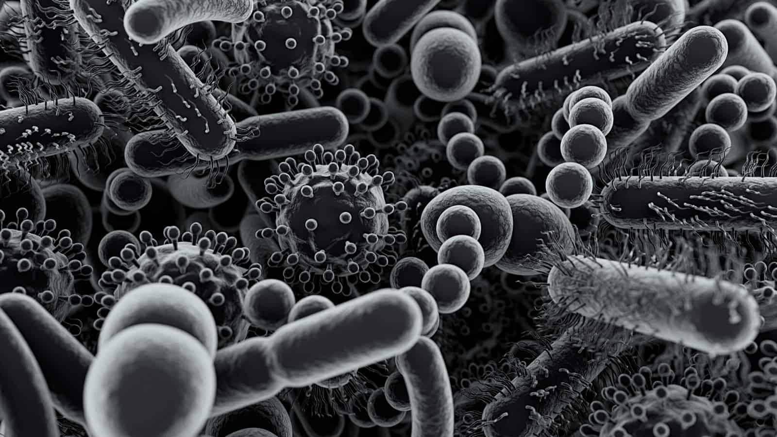 Researchers Link Decreased Gut Microbiome to Everyday Chemicals
