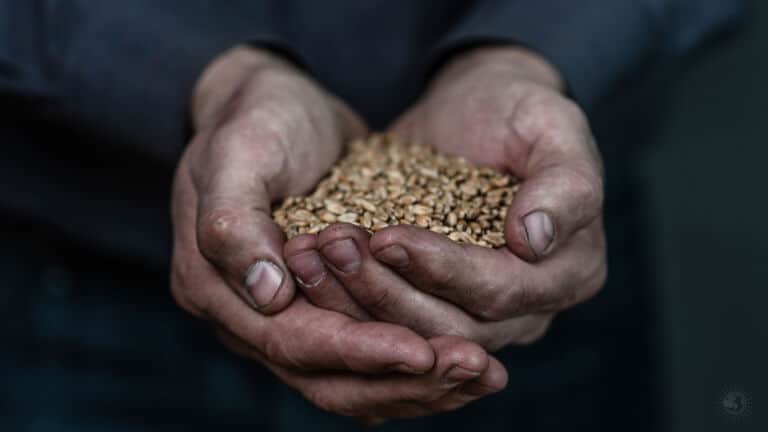 end famine